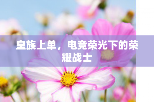 皇族上单，电竞荣光下的荣耀战士