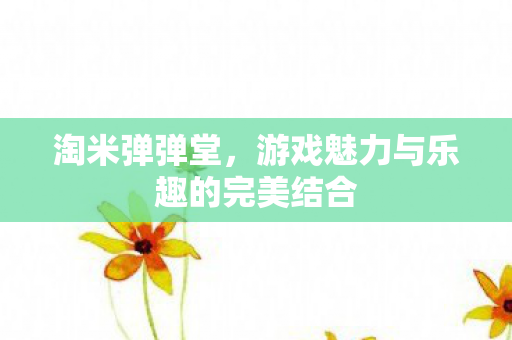 淘米弹弹堂，游戏魅力与乐趣的完美结合