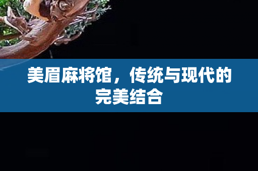 美眉麻将馆，传统与现代的完美结合