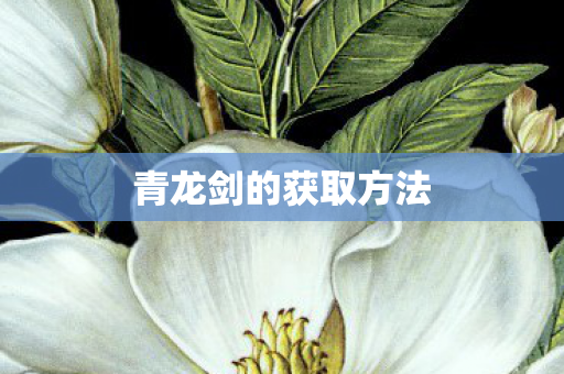 青龙剑的获取方法