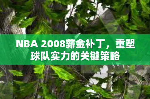 NBA 2008薪金补丁，重塑球队实力的关键策略