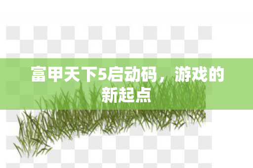 富甲天下5启动码，游戏的新起点