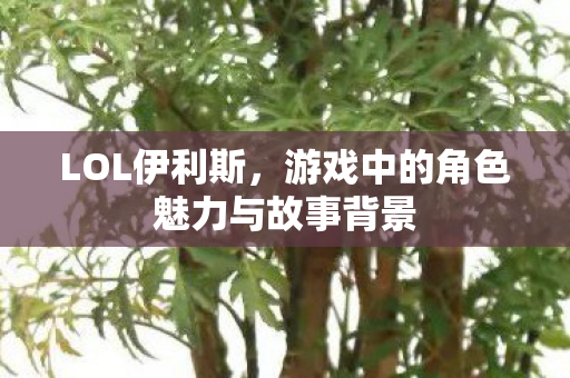LOL伊利斯，游戏中的角色魅力与故事背景