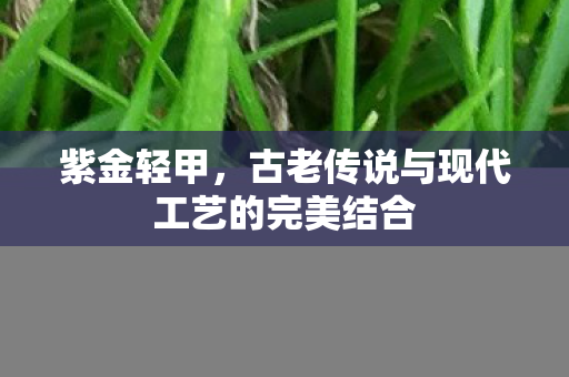 紫金轻甲，古老传说与现代工艺的完美结合