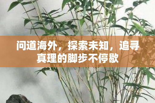 问道海外，探索未知，追寻真理的脚步不停歇