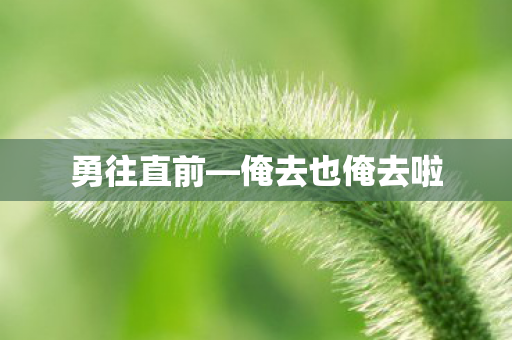 勇往直前—俺去也俺去啦