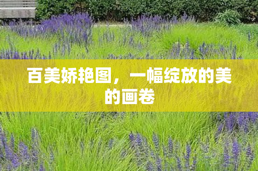 百美娇艳图，一幅绽放的美的画卷
