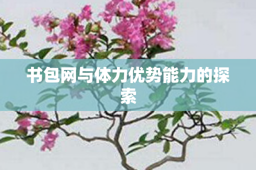书包网与体力优势能力的探索