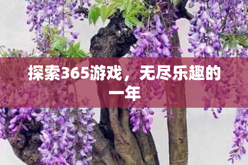探索365游戏，无尽乐趣的一年
