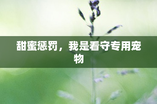 甜蜜惩罚，我是看守专用宠物