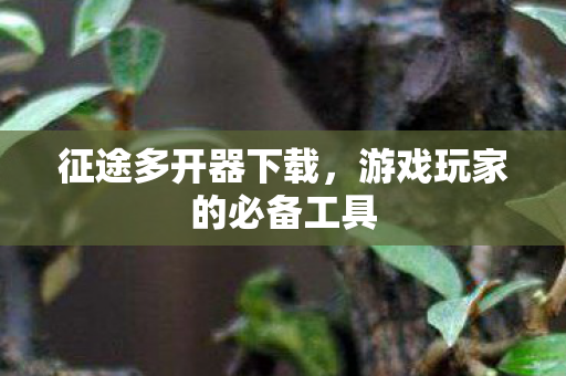 征途多开器下载，游戏玩家的必备工具