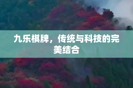 九乐棋牌，传统与科技的完美结合