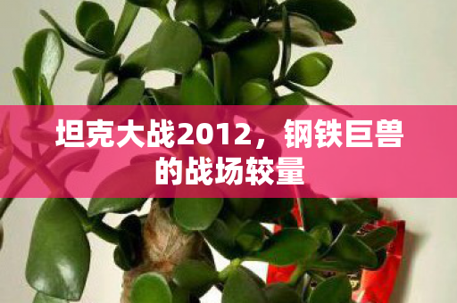 坦克大战2012，钢铁巨兽的战场较量