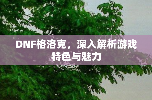 DNF格洛克，深入解析游戏特色与魅力