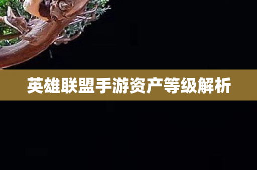 英雄联盟手游资产等级解析