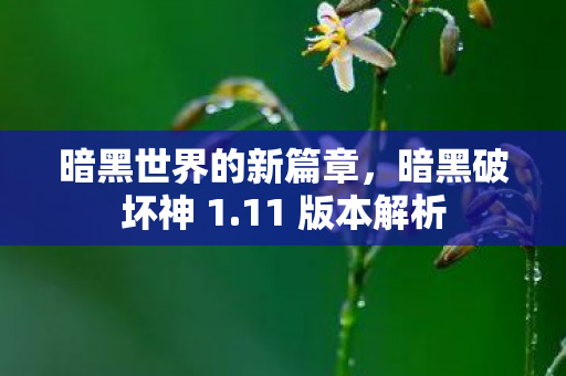 暗黑世界的新篇章，暗黑破坏神 1.11 版本解析