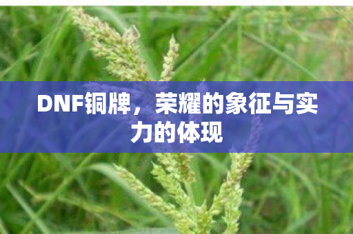 DNF铜牌，荣耀的象征与实力的体现