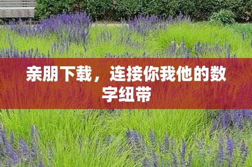 亲朋下载，连接你我他的数字纽带