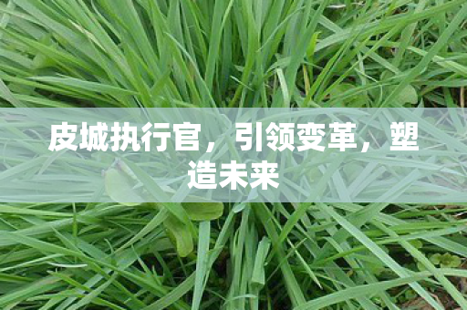 皮城执行官，引领变革，塑造未来