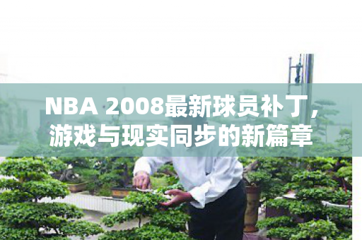 NBA 2008最新球员补丁，游戏与现实同步的新篇章