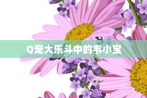Q宠大乐斗中的韦小宝