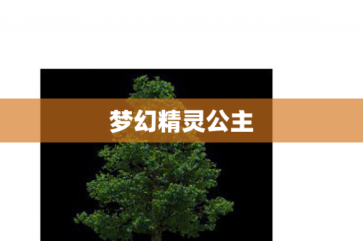 梦幻精灵公主