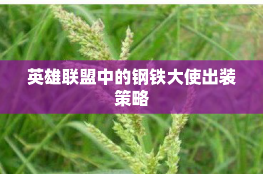 英雄联盟中的钢铁大使出装策略