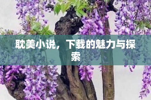 耽美小说，下载的魅力与探索