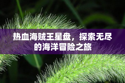 热血海贼王星盘，探索无尽的海洋冒险之旅