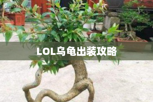 LOL乌龟出装攻略