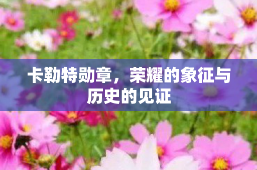 卡勒特勋章，荣耀的象征与历史的见证