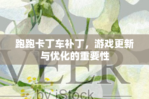 跑跑卡丁车补丁，游戏更新与优化的重要性