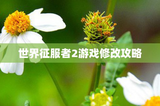 世界征服者2游戏修改攻略