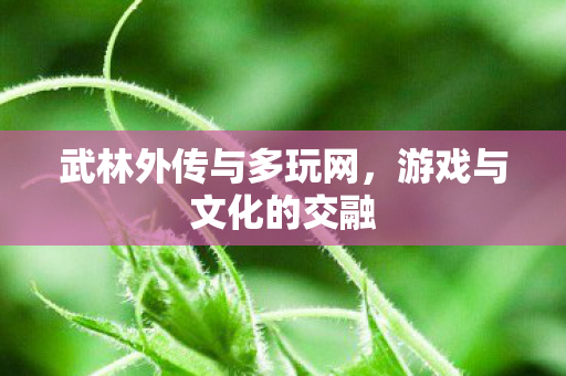 武林外传与多玩网，游戏与文化的交融