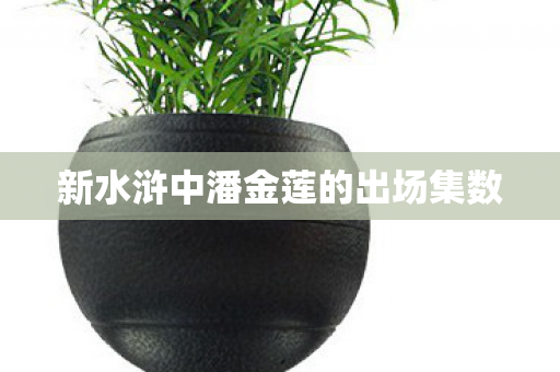 新水浒中潘金莲的出场集数