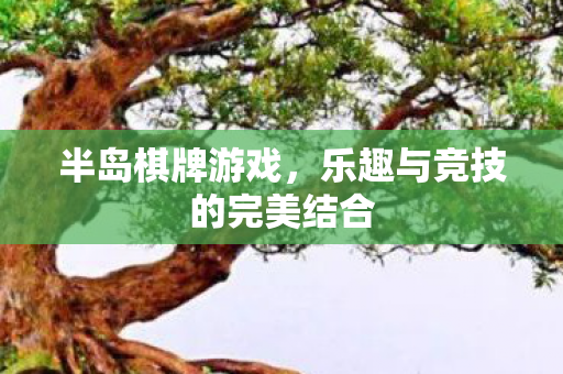 半岛棋牌游戏，乐趣与竞技的完美结合