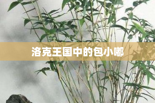 洛克王国中的包小嘟