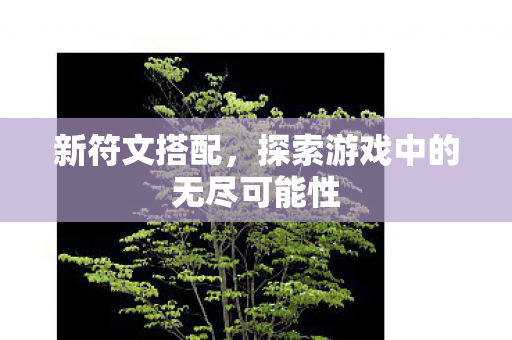 新符文搭配，探索游戏中的无尽可能性