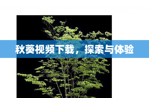秋葵视频下载，探索与体验