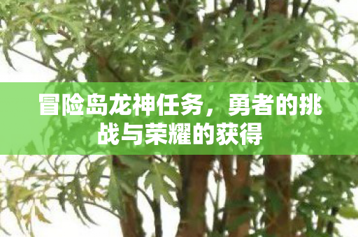 冒险岛龙神任务，勇者的挑战与荣耀的获得