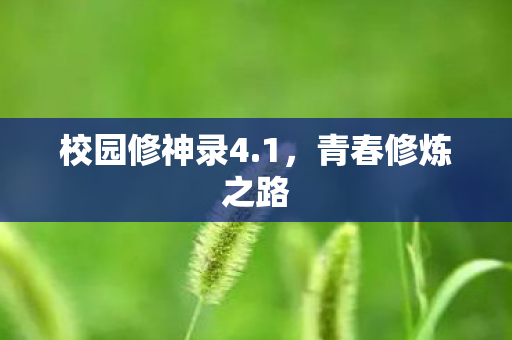 校园修神录4.1，青春修炼之路