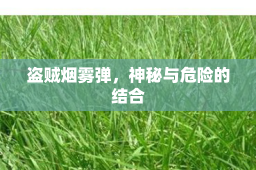 盗贼烟雾弹，神秘与危险的结合