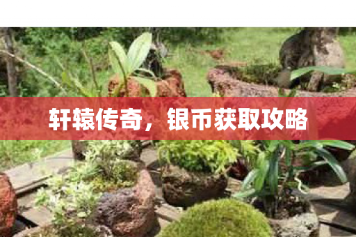 轩辕传奇，银币获取攻略