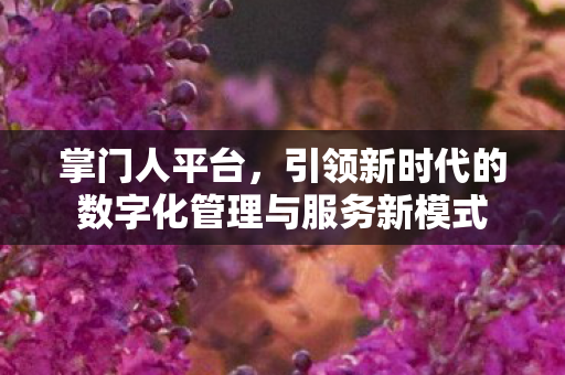 掌门人平台，引领新时代的数字化管理与服务新模式
