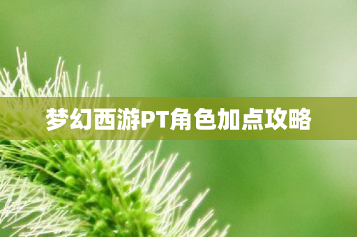 梦幻西游PT角色加点攻略