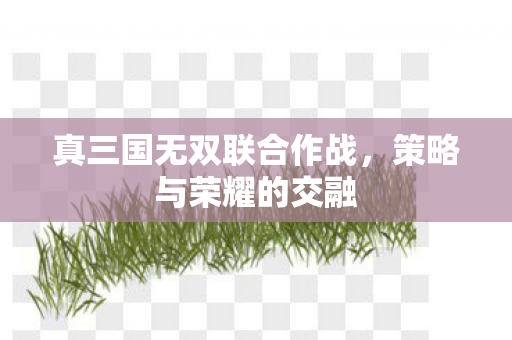 真三国无双联合作战，策略与荣耀的交融