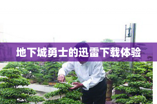 地下城勇士的迅雷下载体验