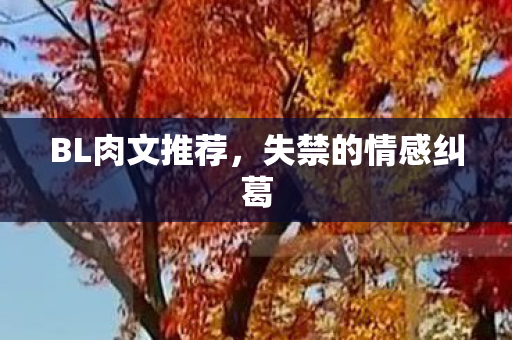 BL肉文推荐，失禁的情感纠葛