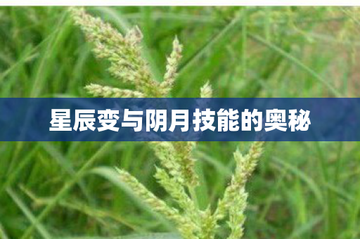 星辰变与阴月技能的奥秘