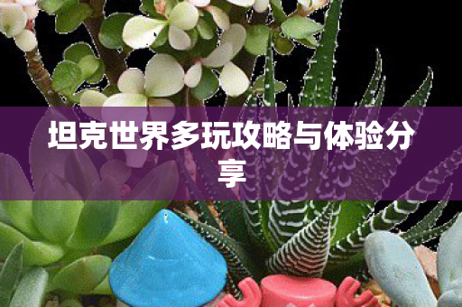 坦克世界多玩攻略与体验分享